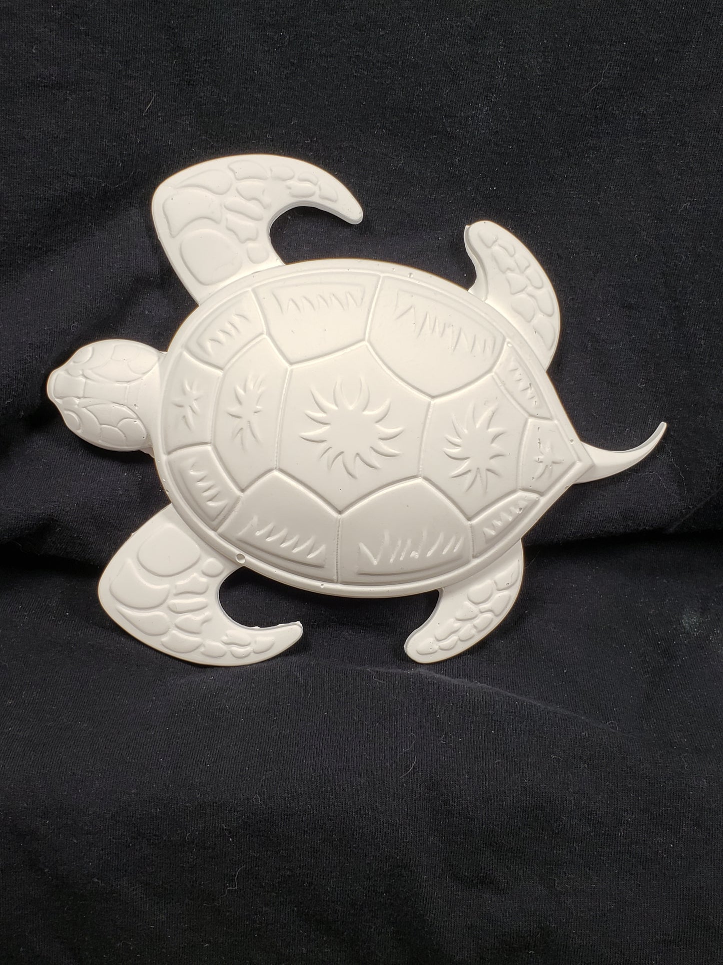 Paint Your Own Turtle
