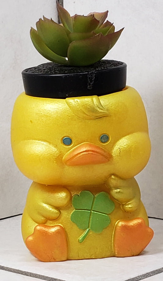 Duck Plant Holder