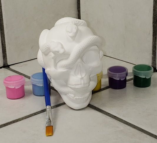 Paint Your Own Skull with Snake