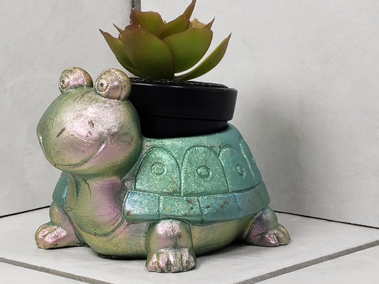 Turtle Plant Holder
