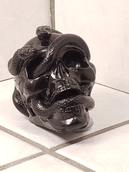Skull With Snake