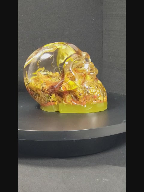 Male Skull